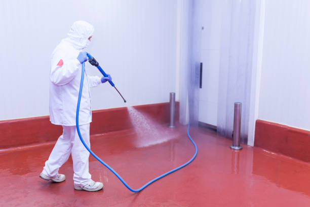 Best Playground Equipment Cleaning  in Victoria, MS