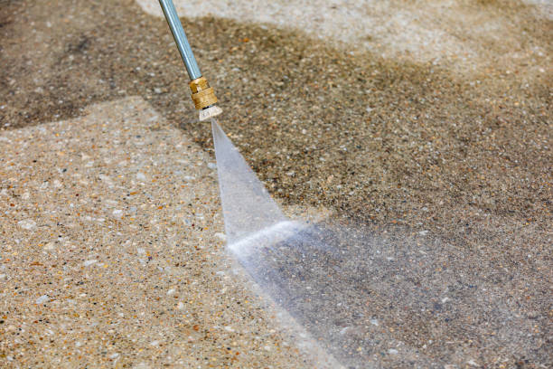 Best Driveway Pressure Washing  in Victoria, MS