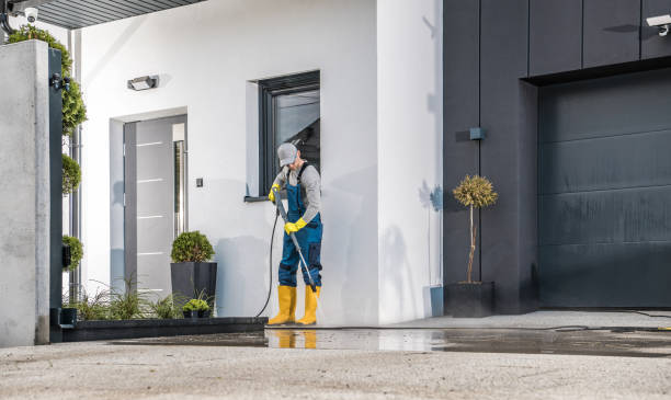 Best Roof Washing  in Victoria, MS
